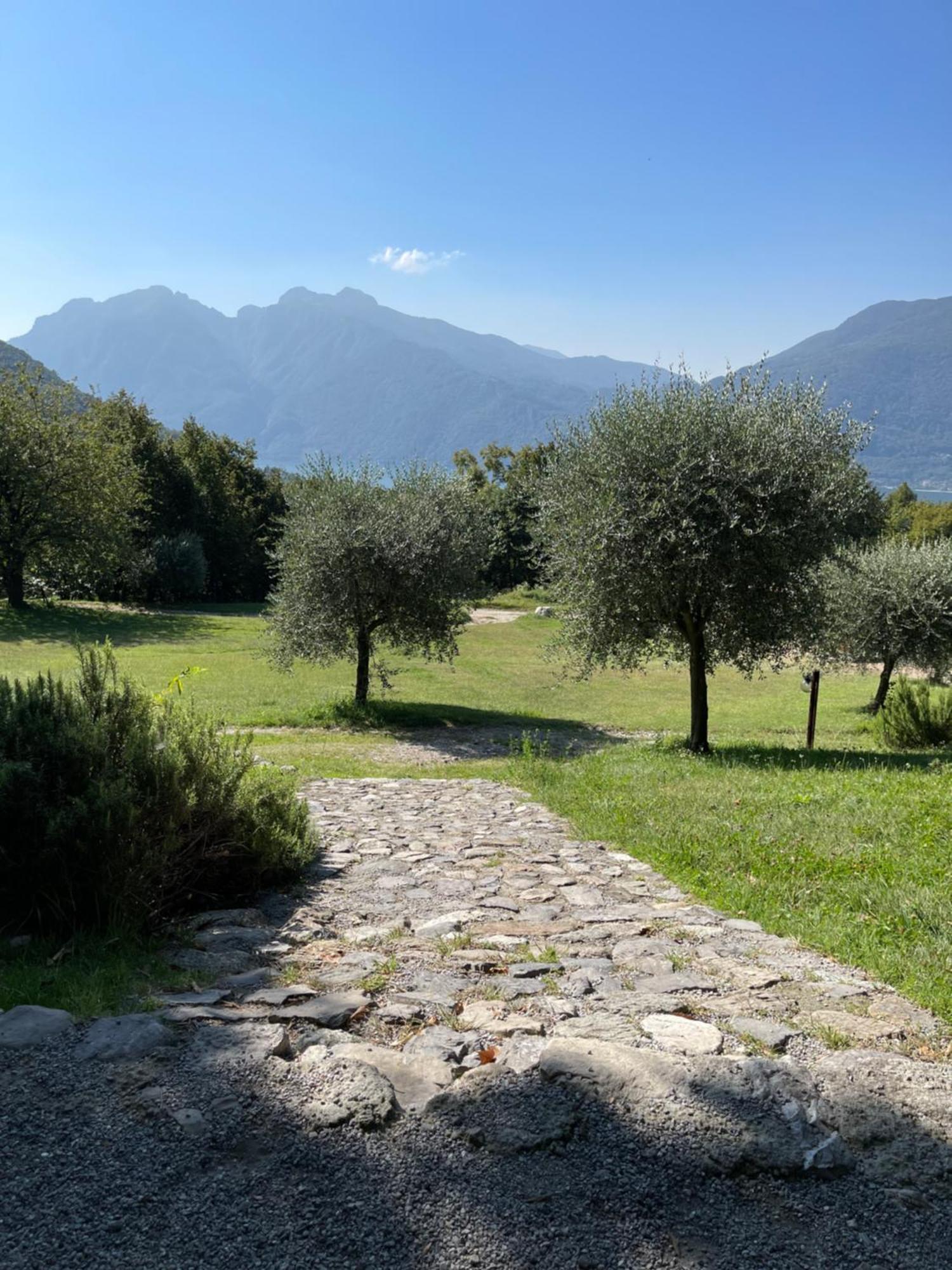Agriturismo La Selvaggia Mandello del Lario Extérieur photo